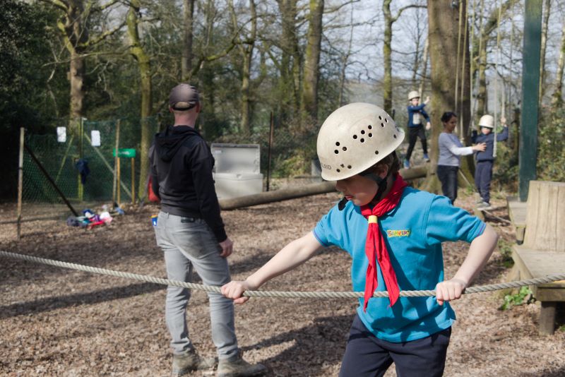 A picture of a beaver undertaking a low ropes course