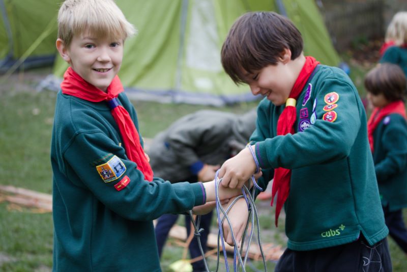 A picture of cubs doing an activity involving ropes